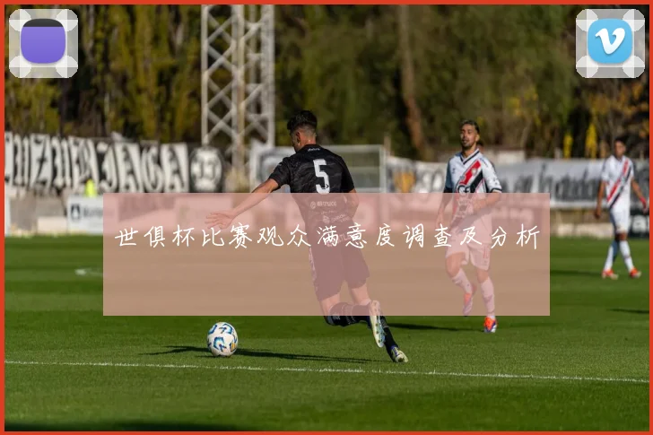 世俱杯比赛观众满意度调查及分析