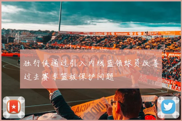 独行侠通过引入内线蓝领球员改善过去赛季篮板保护问题