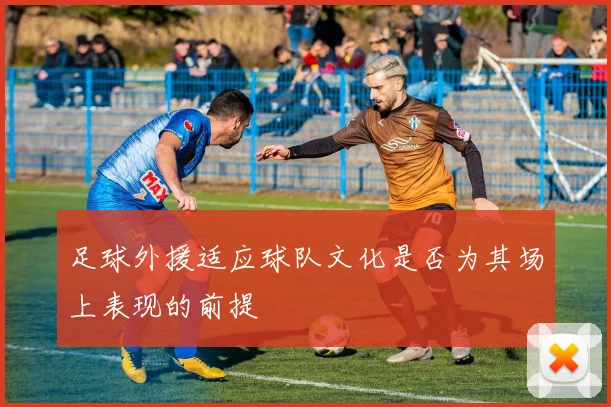 足球外援适应球队文化是否为其场上表现的前提