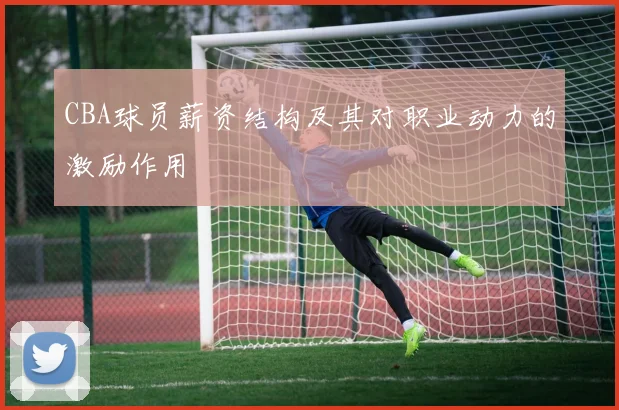 CBA球员薪资结构及其对职业动力的激励作用
