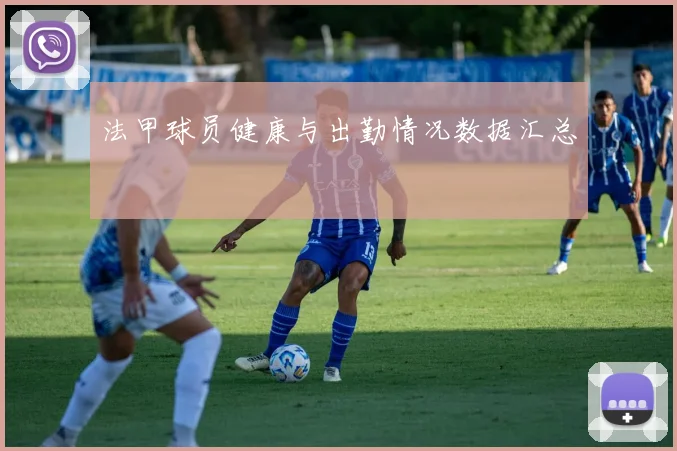 法甲球员健康与出勤情况数据汇总