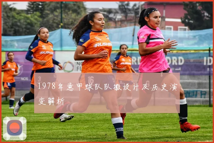 1978年意甲球队队徽设计及历史演变解析